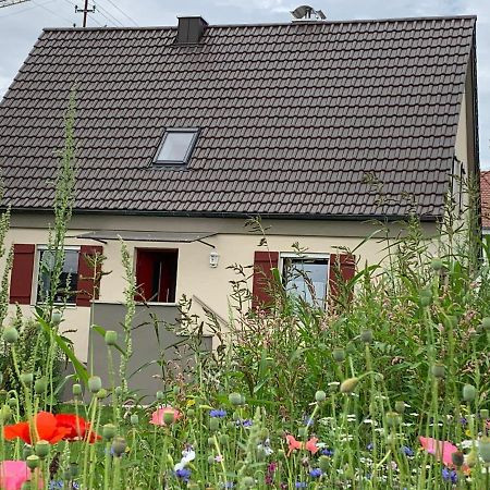 Ferienhaus Bei Lauingen, Mit Sauna Und Gartenlounge Veitriedhausen Exteriér fotografie