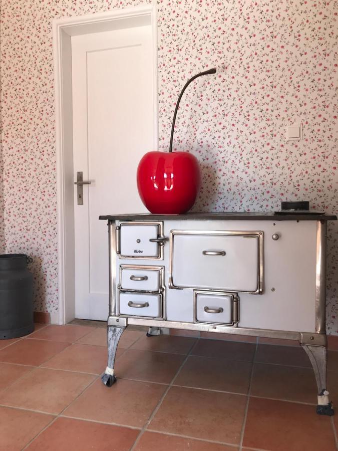 Ferienhaus Bei Lauingen, Mit Sauna Und Gartenlounge Veitriedhausen Exteriér fotografie
