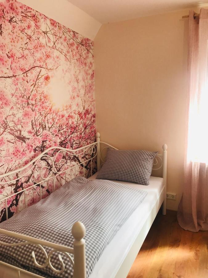 Ferienhaus Bei Lauingen, Mit Sauna Und Gartenlounge Veitriedhausen Exteriér fotografie