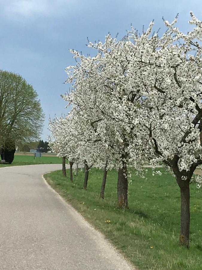 Ferienhaus Bei Lauingen, Mit Sauna Und Gartenlounge Veitriedhausen Exteriér fotografie