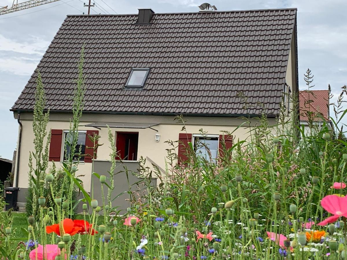 Ferienhaus Bei Lauingen, Mit Sauna Und Gartenlounge Veitriedhausen Exteriér fotografie